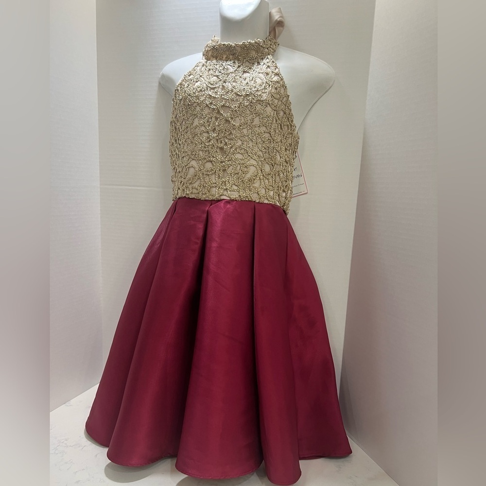 Elegant Gold and Red Kids Dress